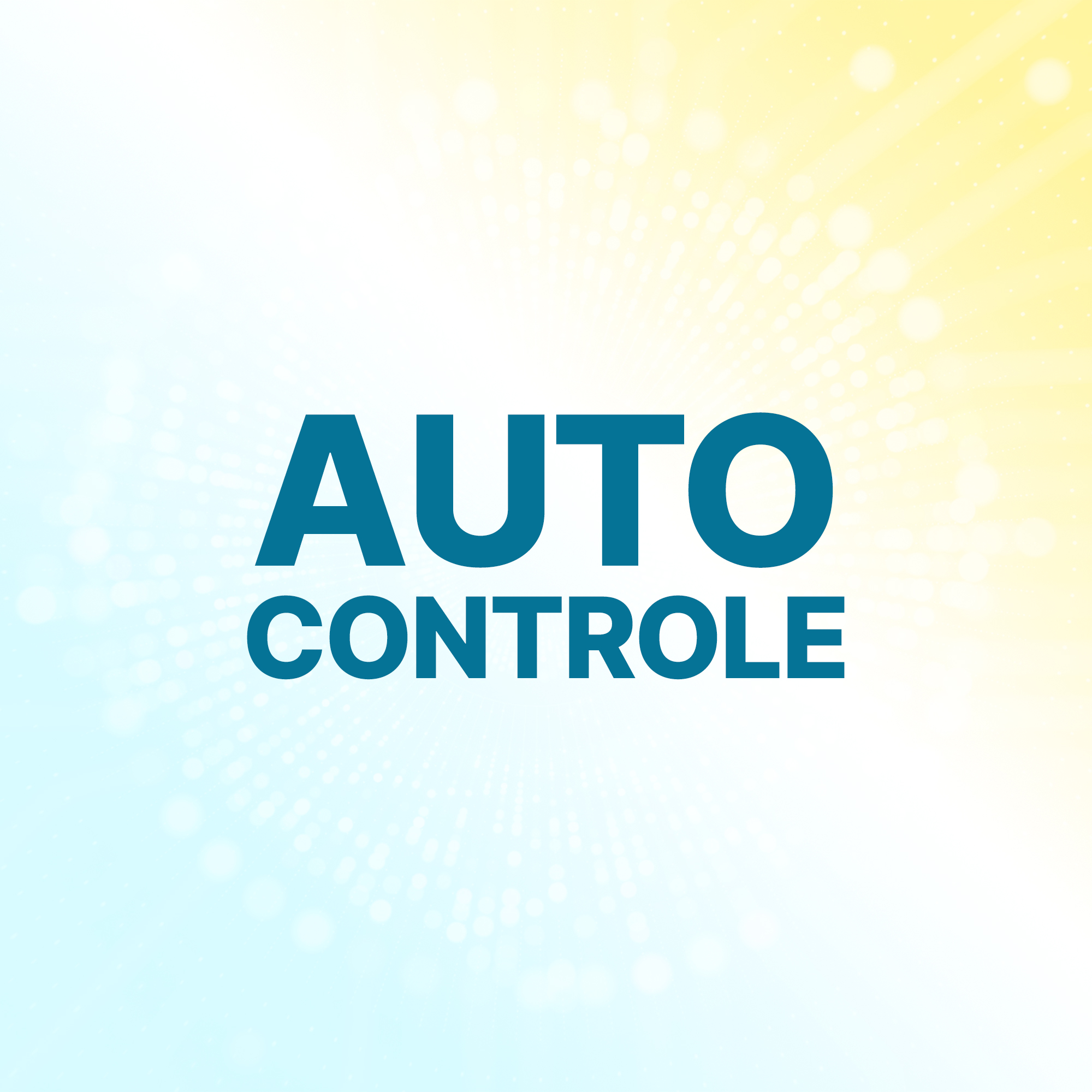 home_images_preview_cases_de_sucesso_auto_controle